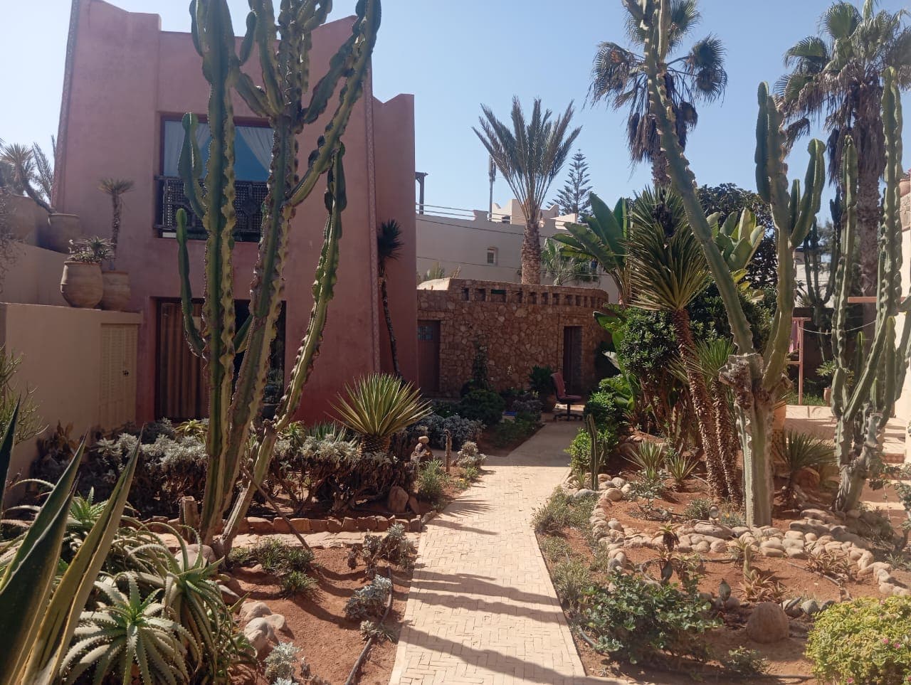 Villa garden with desert landscaping and pathways