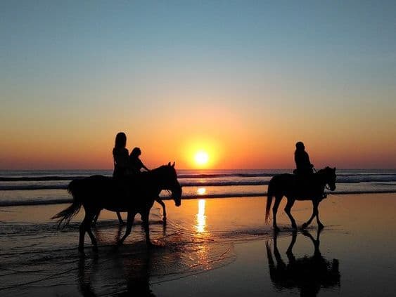 Romantic sunset horseback riding